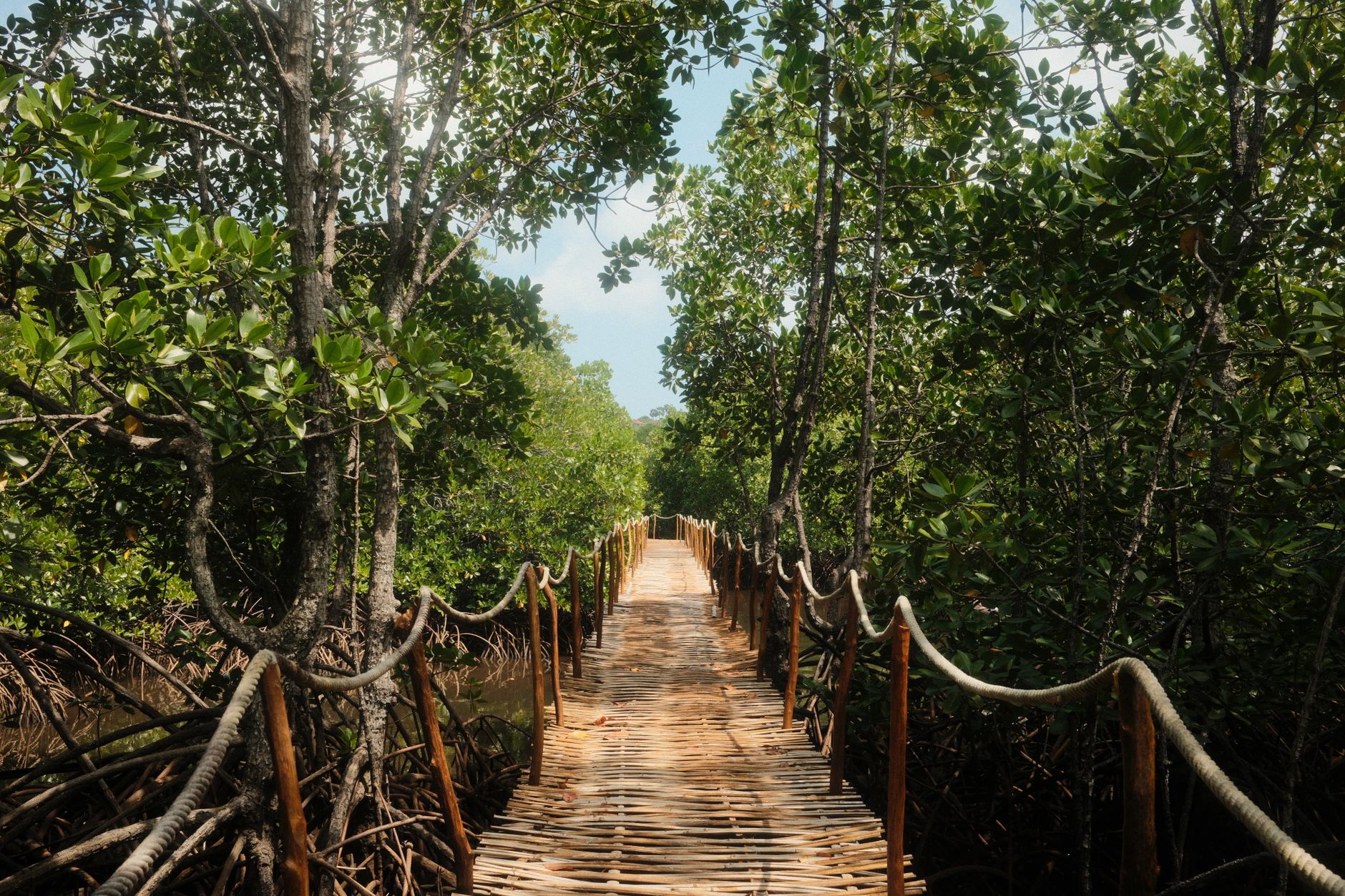 Kilifi Creek: Mangroves, Dhow Trips and Local Tips -- Photo by Nizar F on Pexels