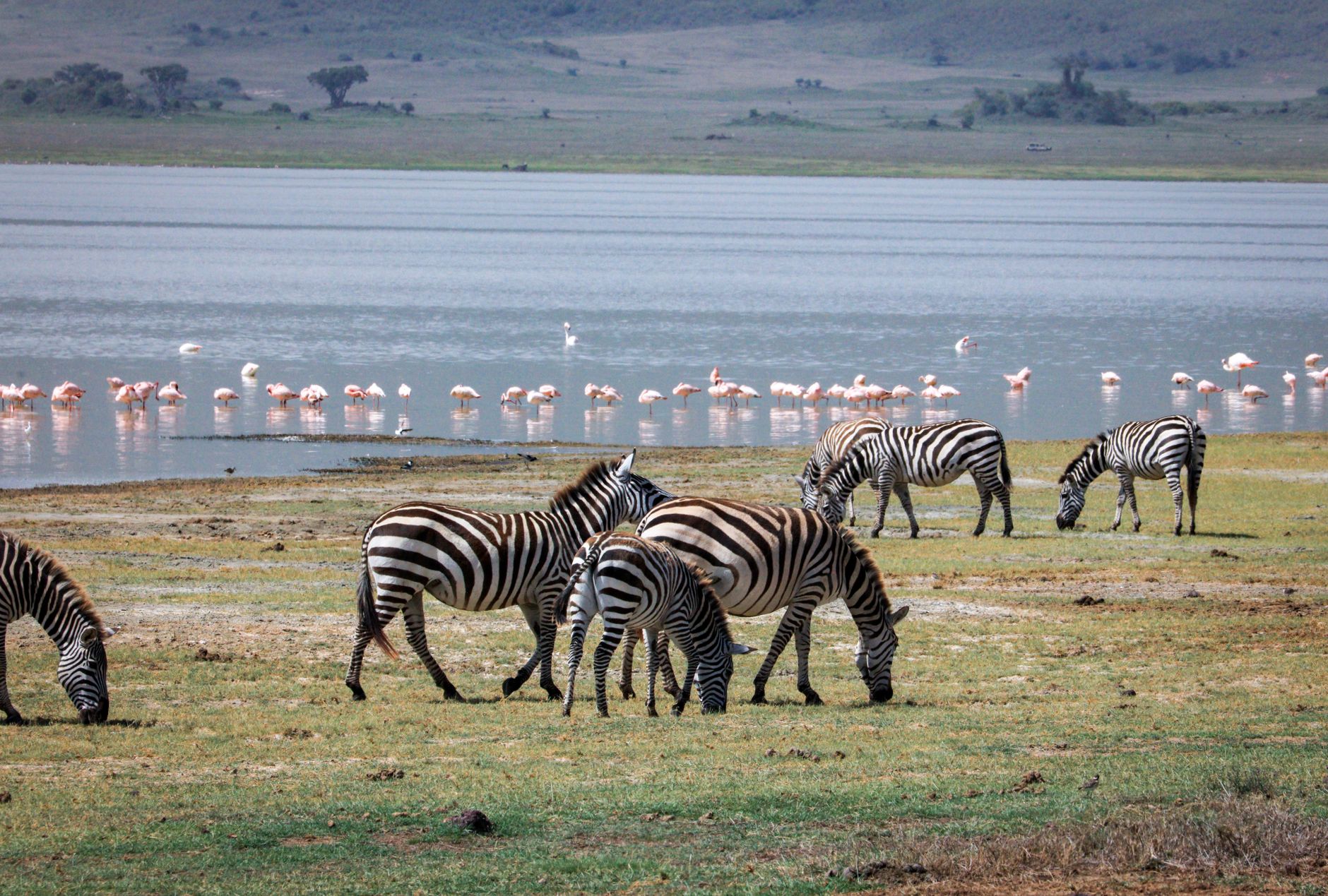 Where to Stay in Lake Nakuru: Camps and Lodges Compared -- Photo by Kilinge Adventures on Pexels
