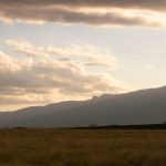 Amboseli Safari Can I Walk Outside Camp: Safe Rules -- Photo by Vishva Patel on Pexels