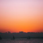 Best Time for Calm Seas and Dhow Sailing in Lamu: Top Months -- Photo by ROMAN ODINTSOV on Pexels