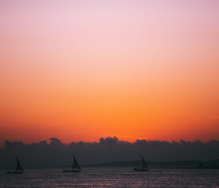 Best Time for Calm Seas and Dhow Sailing in Lamu: Top Months -- Photo by ROMAN ODINTSOV on Pexels