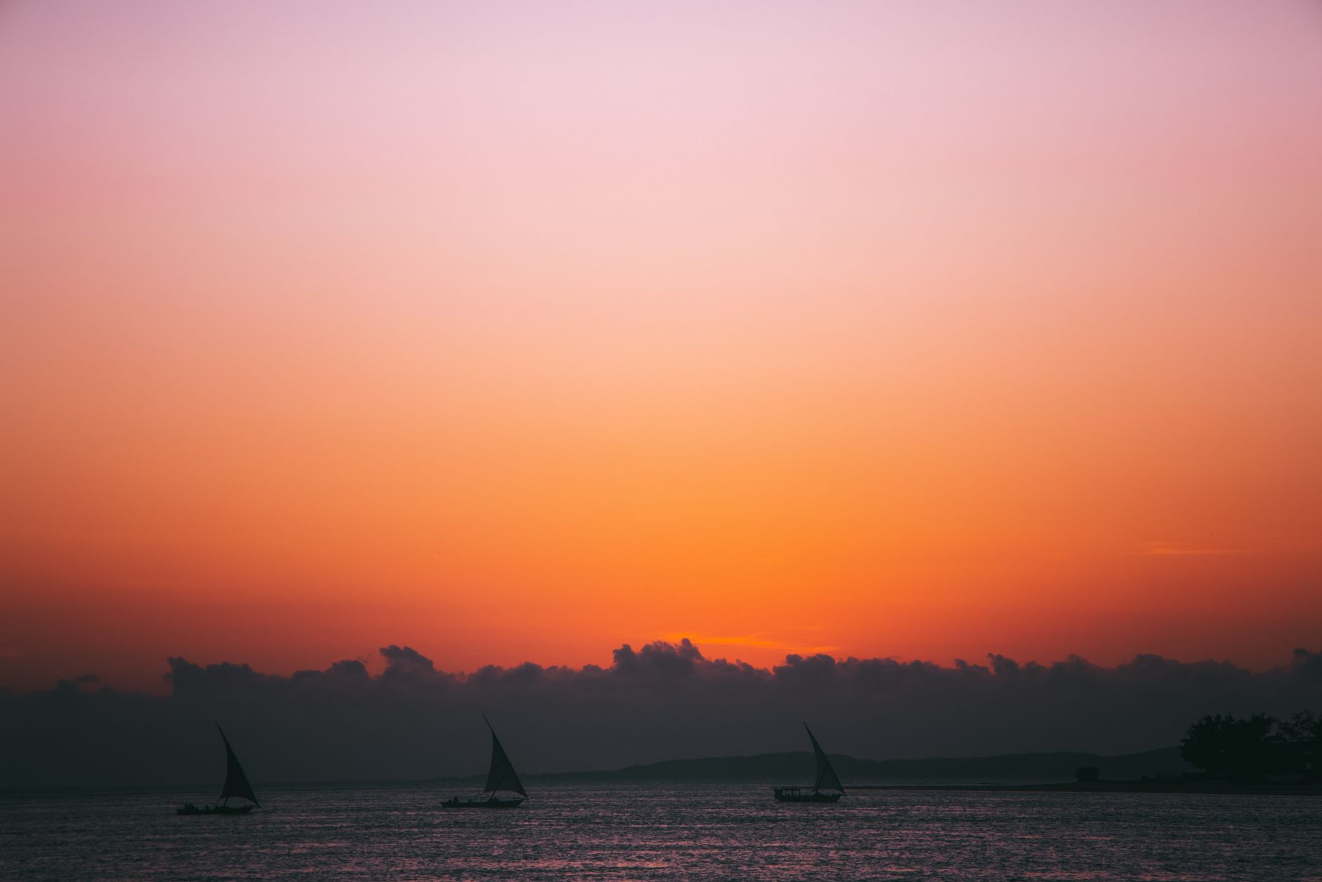 Best Time for Calm Seas and Dhow Sailing in Lamu: Top Months -- Photo by ROMAN ODINTSOV on Pexels