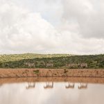 Best Time to Visit Chyulu Hills: Dry Season Tips -- Photo by Guyo Adhi on Pexels