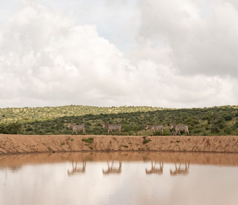 Best Time to Visit Chyulu Hills: Dry Season Tips -- Photo by Guyo Adhi on Pexels