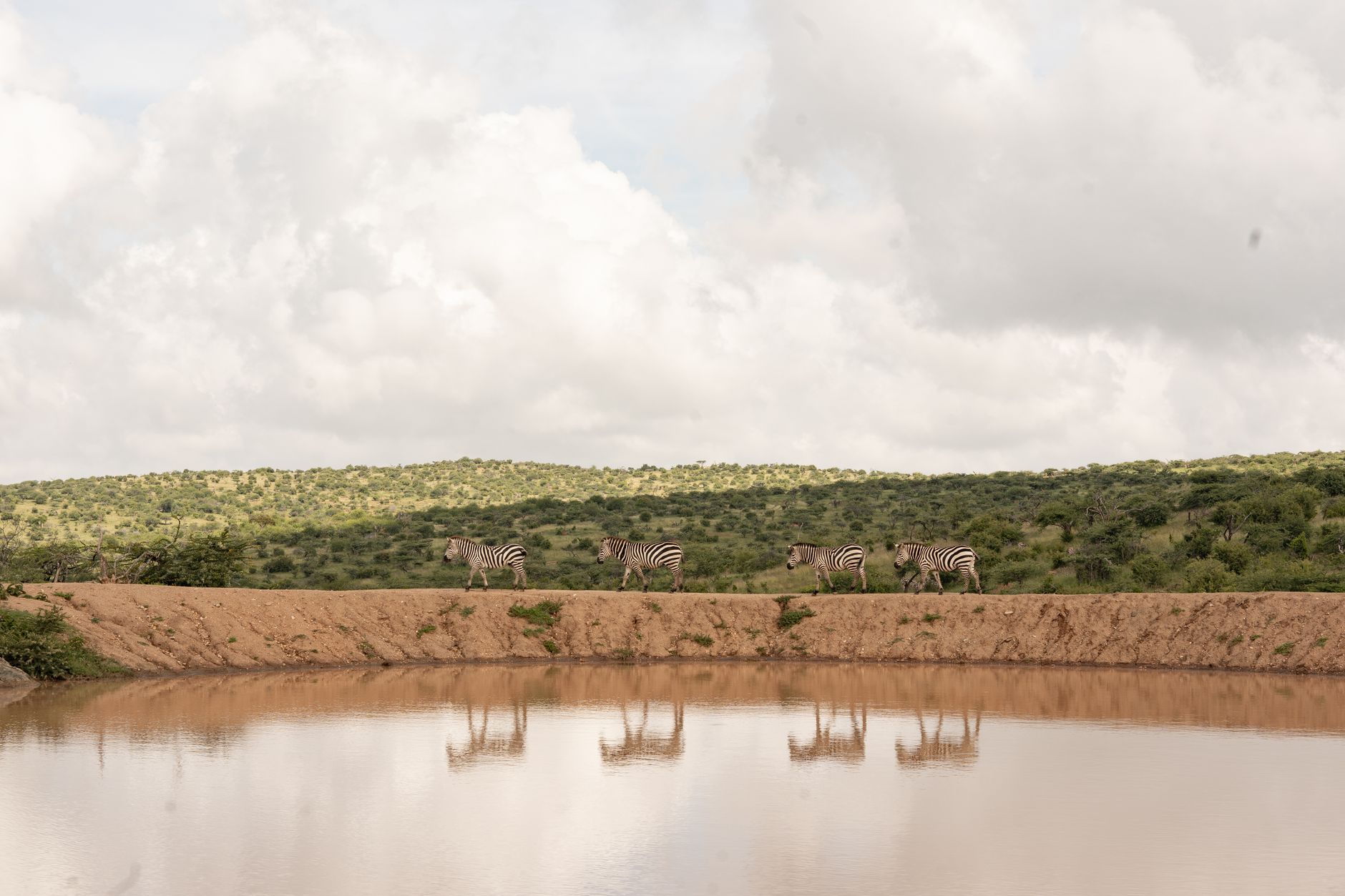 Best Time to Visit Chyulu Hills: Dry Season Tips -- Photo by Guyo Adhi on Pexels