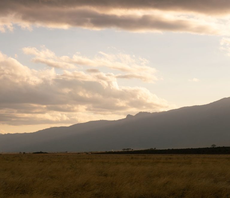 LGBTQ+ Safety Guide for Spanish-Speaking Safari Travelers -- Photo by Vishva Patel on Pexels