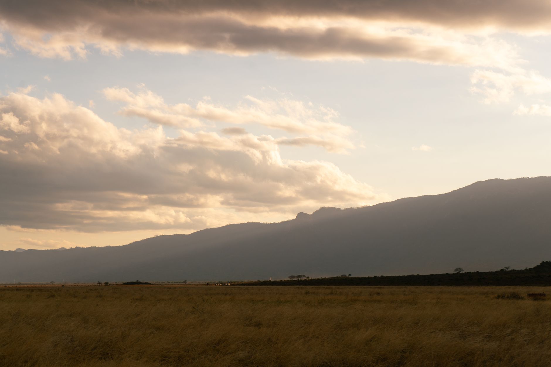 LGBTQ+ Safety Guide for Spanish-Speaking Safari Travelers -- Photo by Vishva Patel on Pexels