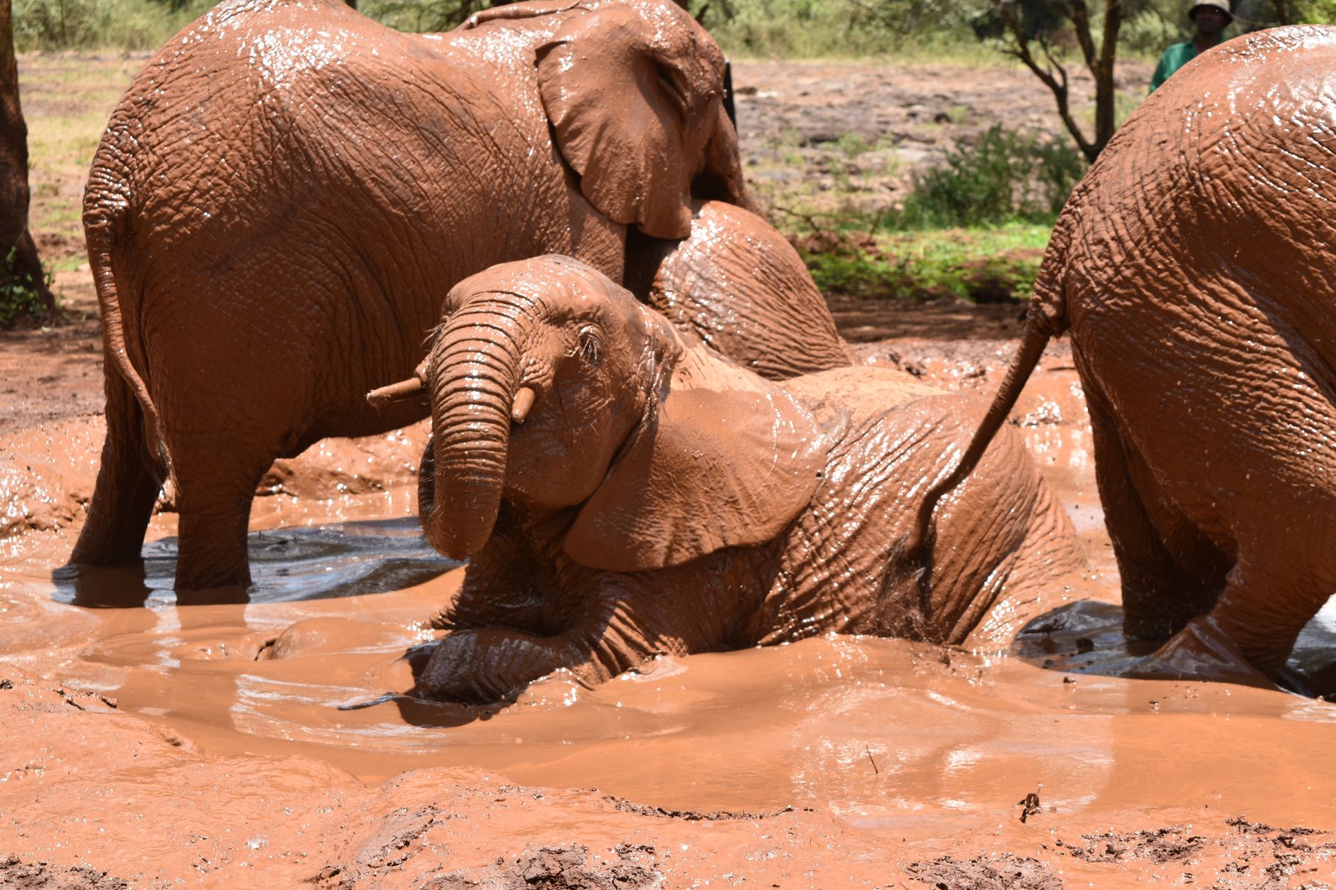How Many Days Do You Need in Samburu? (2026 Guide) -- Photo by Lucie Burlet on Pexels