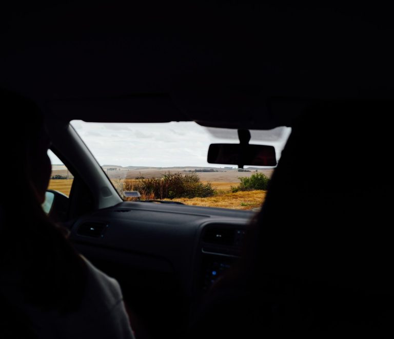 Can Safari Vehicles Stop for Motion Sickness? Safety Tips -- Photo by Adrien Olichon on Pexels