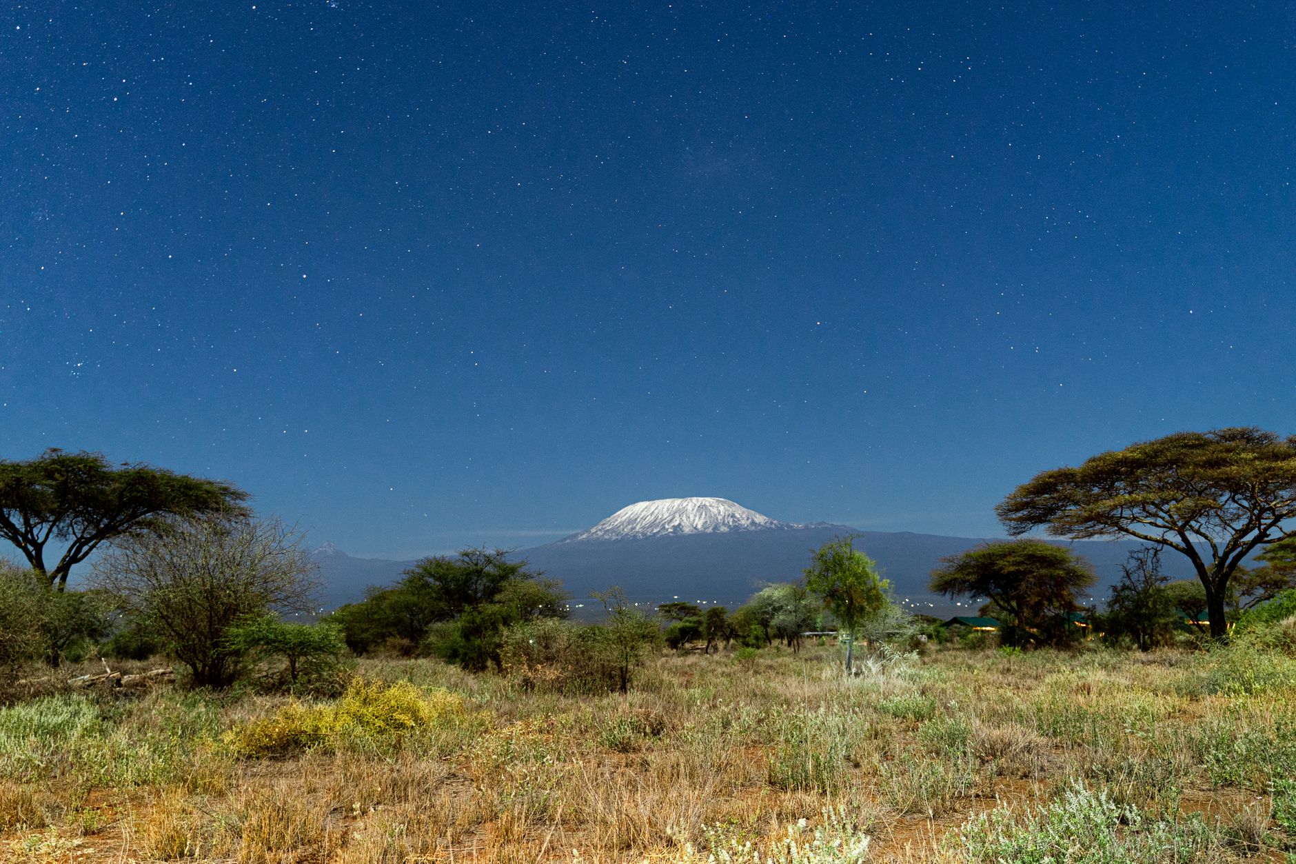 Samburu Safari for Photographers: The Best Light -- Photo by Ken Mwaura on Pexels