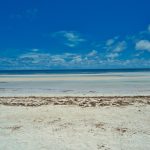 Diani Beach Versus Lamu Holiday: 5 Key Differences -- Photo by Elly Mar Tamayor on Pexels