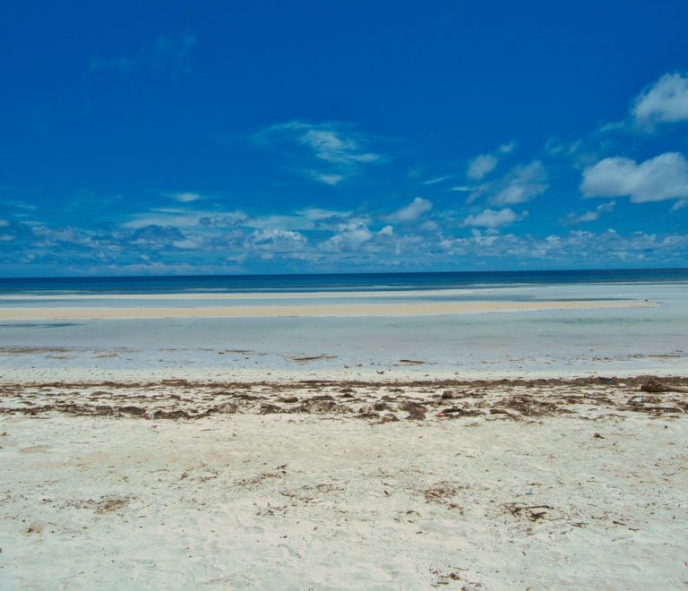 Diani Beach Versus Lamu Holiday: 5 Key Differences -- Photo by Elly Mar Tamayor on Pexels