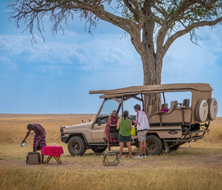 Halal Safari Guide for Indonesian Speakers: Dining, Prayer, Camps -- Photo by 伟达 严 on Pexels