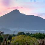 Best Time to Visit Meru National Park: Season Guide -- Photo by Kureng Workx on Pexels