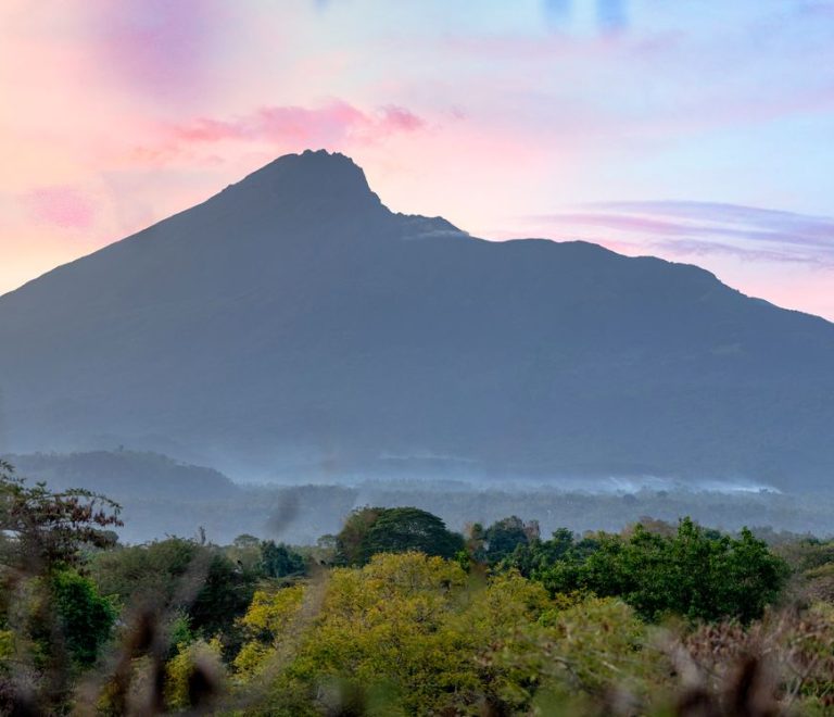 Best Time to Visit Meru National Park: Season Guide -- Photo by Kureng Workx on Pexels
