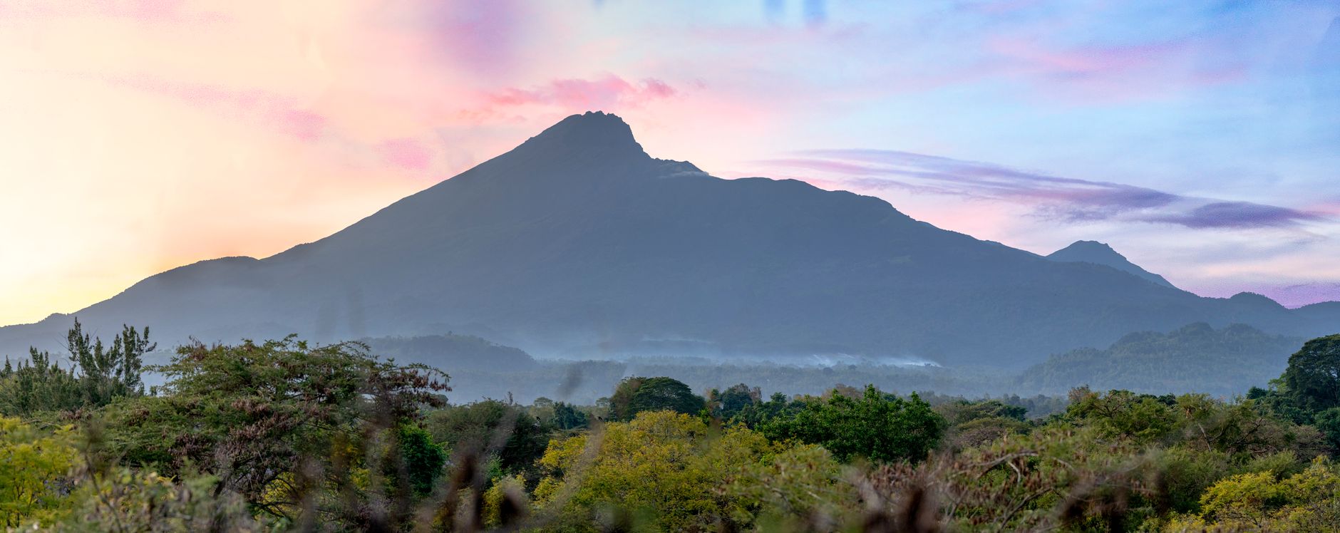 Best Time to Visit Meru National Park: Season Guide -- Photo by Kureng Workx on Pexels