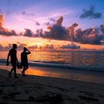 Diani Beach Safari Can I Combine Diving? 7-Day Plan -- Photo by Zebari Visuals on Pexels