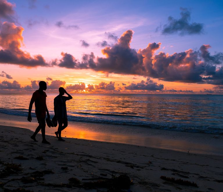 Diani Beach Safari Can I Combine Diving? 7-Day Plan -- Photo by Zebari Visuals on Pexels