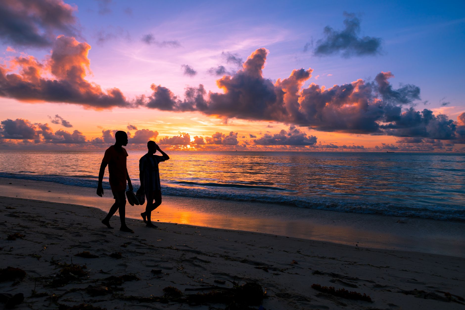 Diani Beach Safari Can I Combine Diving? 7-Day Plan -- Photo by Zebari Visuals on Pexels