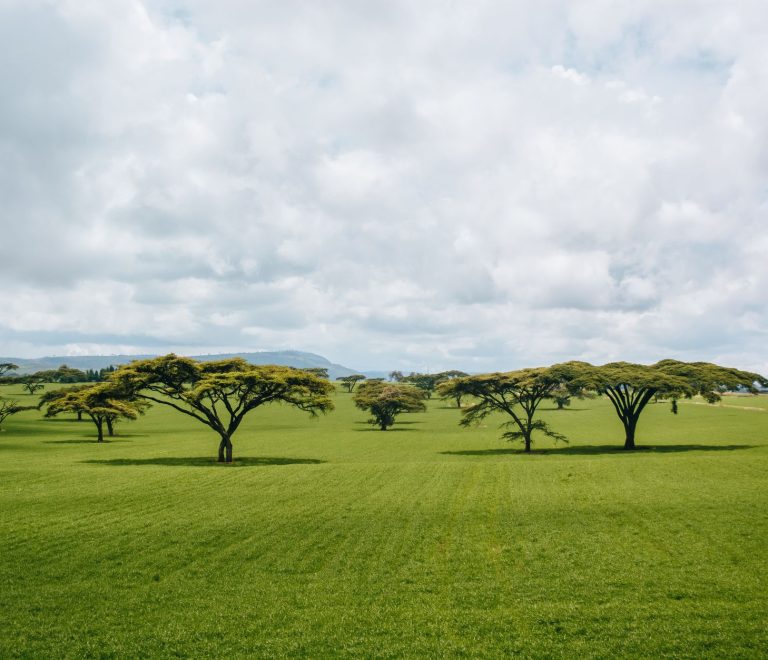 Best Time to Visit Kenya for Assamese Speakers: A Local Guide -- Photo by Joseph Ruwa on Pexels