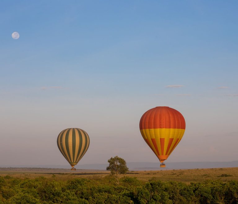 Masai Mara Travel Guide for Fulfulde Speakers -- Photo by Zebari Visuals on Pexels
