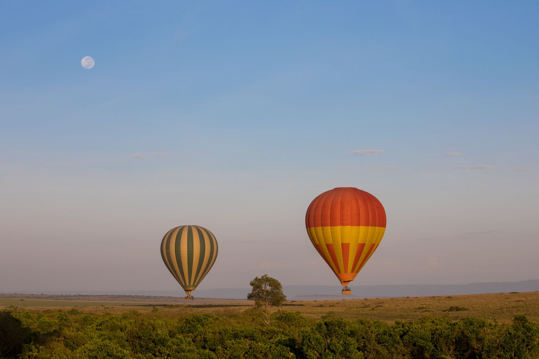 Masai Mara Travel Guide for Fulfulde Speakers -- Photo by Zebari Visuals on Pexels