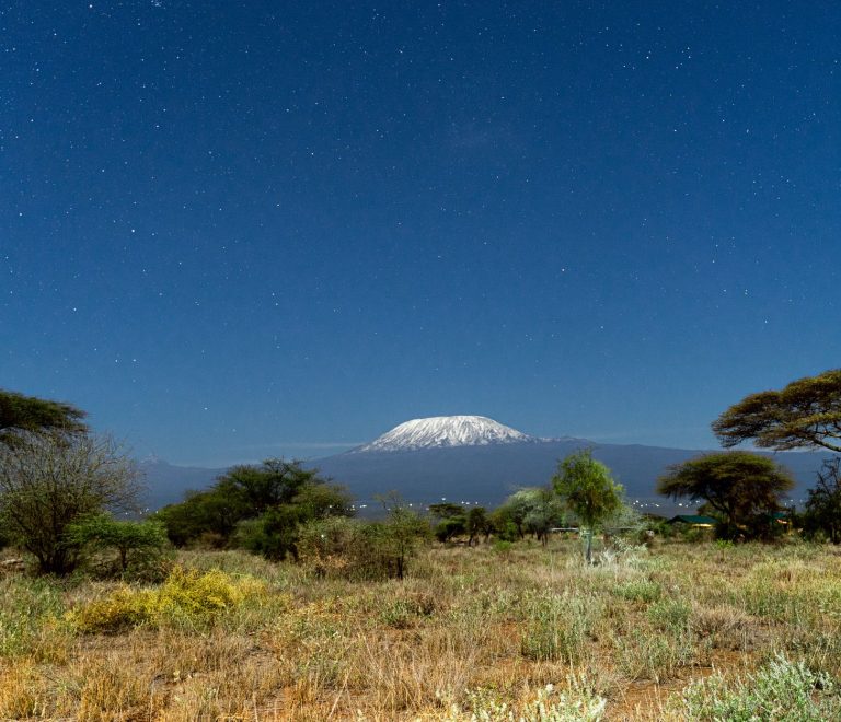 Amboseli Safari Is Kilimanjaro Visible: Best Views -- Photo by Ken Mwaura on Pexels
