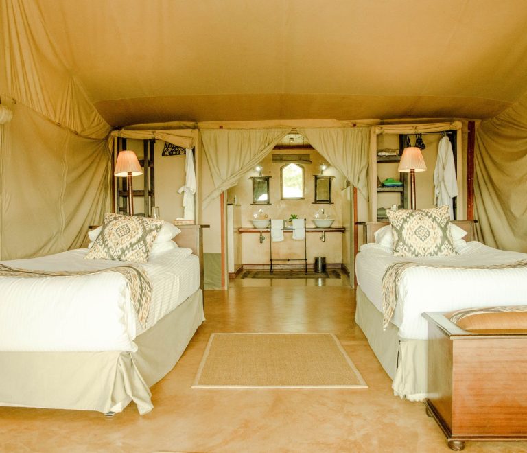 Can Safari Lodges Accommodate Pacemakers? 7 Checks -- Photo by Entumoto Safari Camp on Pexels