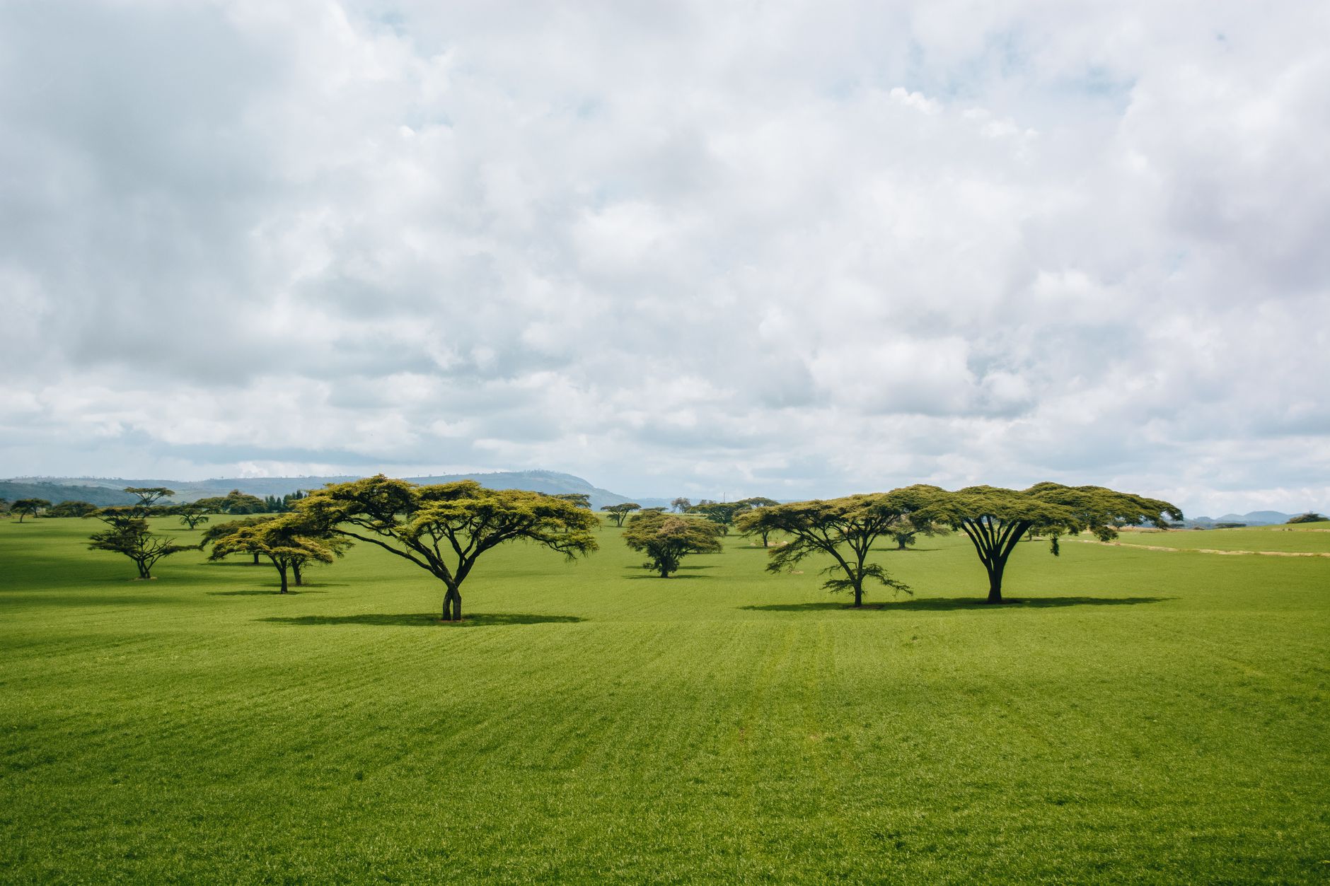 Best Time to Visit Kenya for Gujarati Speakers -- Photo by Joseph Ruwa on Pexels