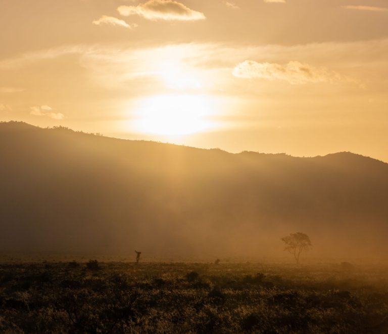 Tsavo Safari Red Dust Clothes: What to Wear and Pack -- Photo by Vishva Patel on Pexels