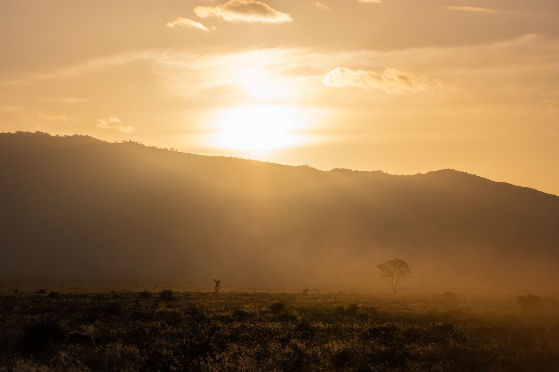 Tsavo Safari Red Dust Clothes: What to Wear and Pack -- Photo by Vishva Patel on Pexels