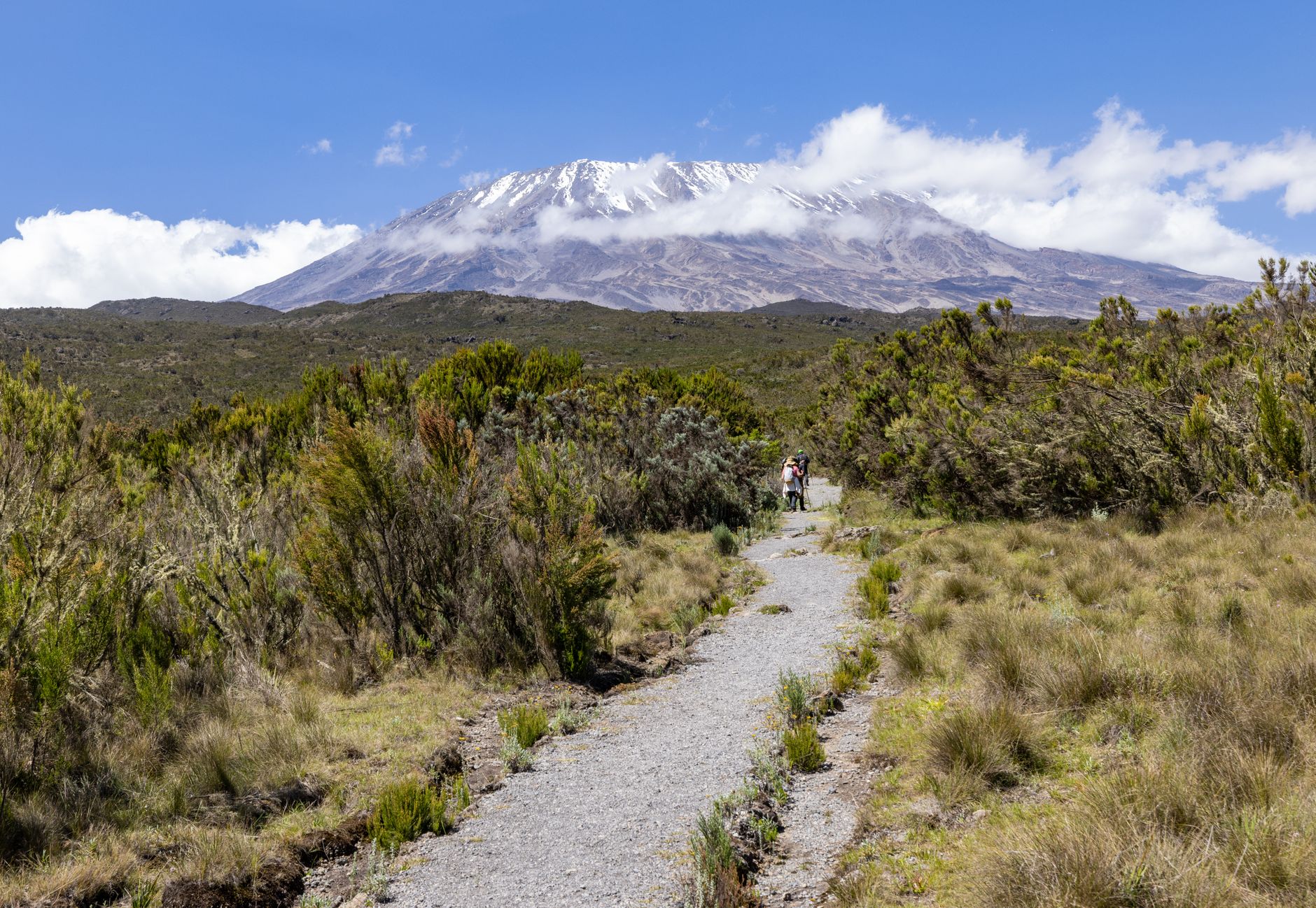 Kilimanjaro Safari Altitude Recovery Time: 24 to 48 Hours -- Photo by Balazs Simon on Pexels