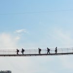 Nyungwe Canopy Walk Cost: $60 to $180 Per Person -- Photo by Zak Dz on Pexels