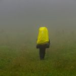 Bwindi Gorilla Trek Rain Protection Gear: 8-Item Checklist -- Photo by Павел Хлыстунов on Pexels