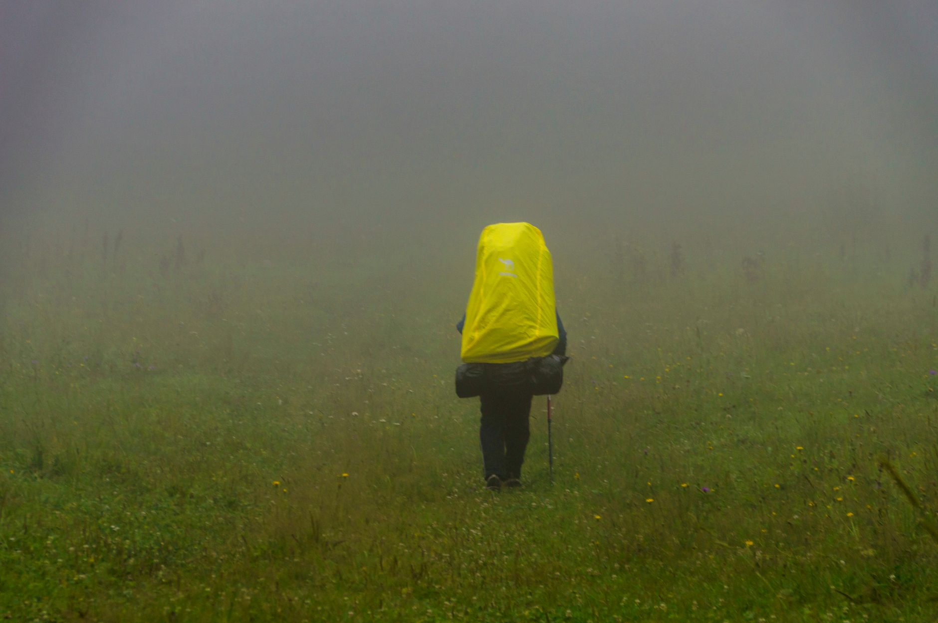 Bwindi Gorilla Trek Rain Protection Gear: 8-Item Checklist -- Photo by Павел Хлыстунов on Pexels
