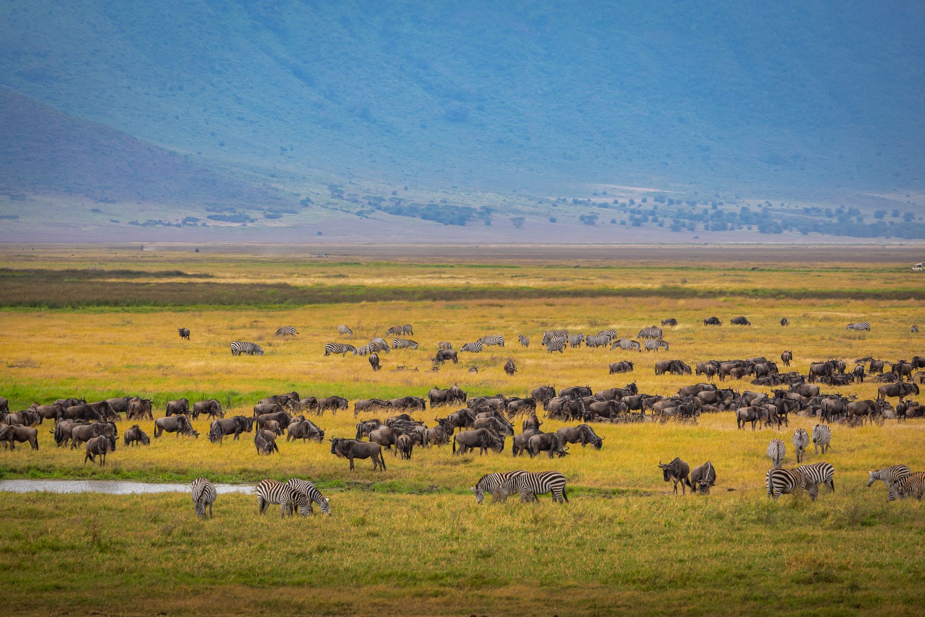 Ngorongoro Crater vs Serengeti: Which Is Better? -- Photo by Sergey Guk on Pexels