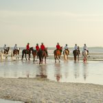 Zanzibar Safari Beach Honeymoon Itinerary: 12 Days -- Photo by Keegan Checks on Pexels