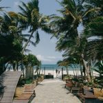 Zanzibar vs Diani Beach: Which Coast Fits You Best? -- Photo by Ben Iwara on Pexels
