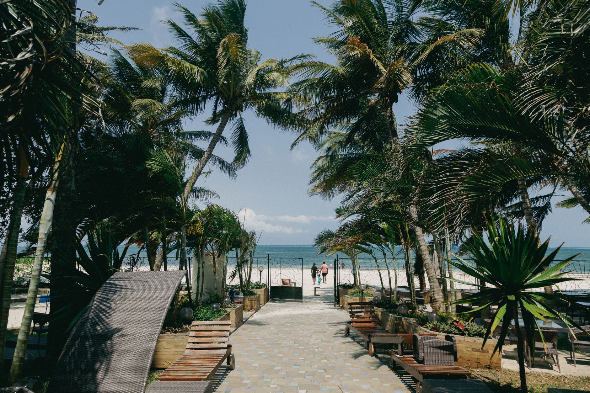Zanzibar vs Diani Beach: Which Coast Fits You Best? -- Photo by Ben Iwara on Pexels