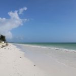 Zanzibar Safari Beach Split: The Best Honeymoon Balance -- Photo by Ana Kenk on Pexels
