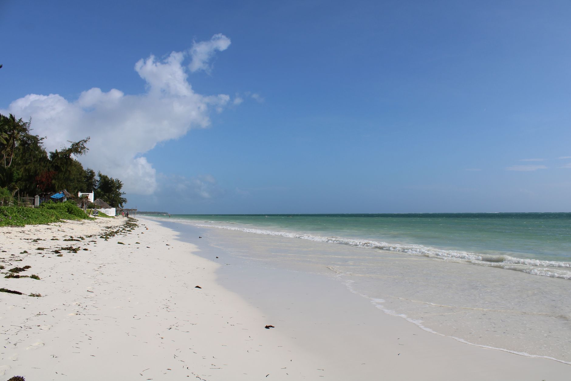Zanzibar Safari Beach Split: The Best Honeymoon Balance -- Photo by Ana Kenk on Pexels