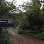 Nairobi National Park Walking Trails: Safe Stops -- Photo by Magda Ehlers on Pexels