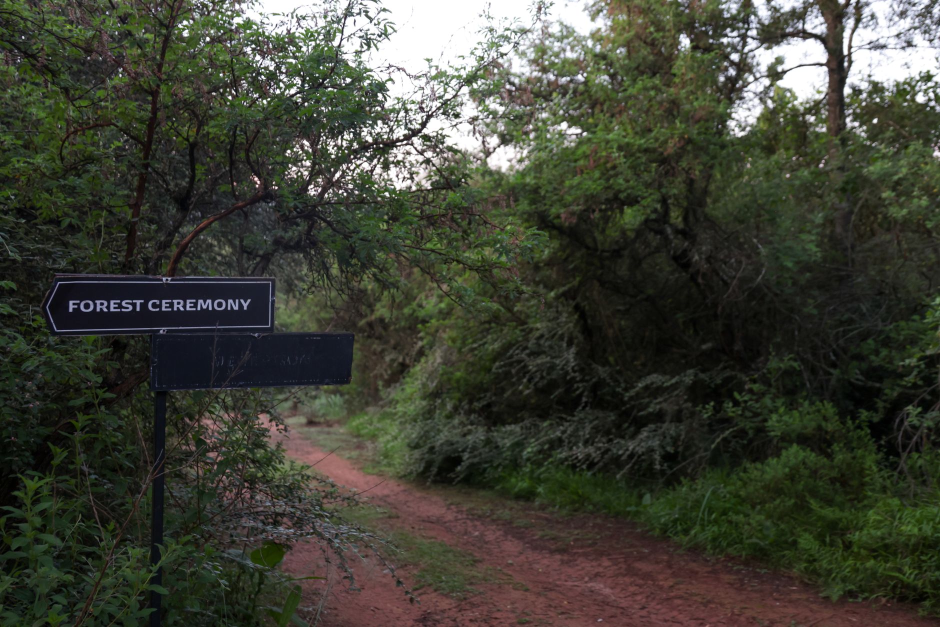 Nairobi National Park Walking Trails: Safe Stops -- Photo by Magda Ehlers on Pexels