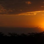 Volcanoes Golden Monkey Trek Cost: $100 Permit, Real Total -- Photo by Vishva Patel on Pexels