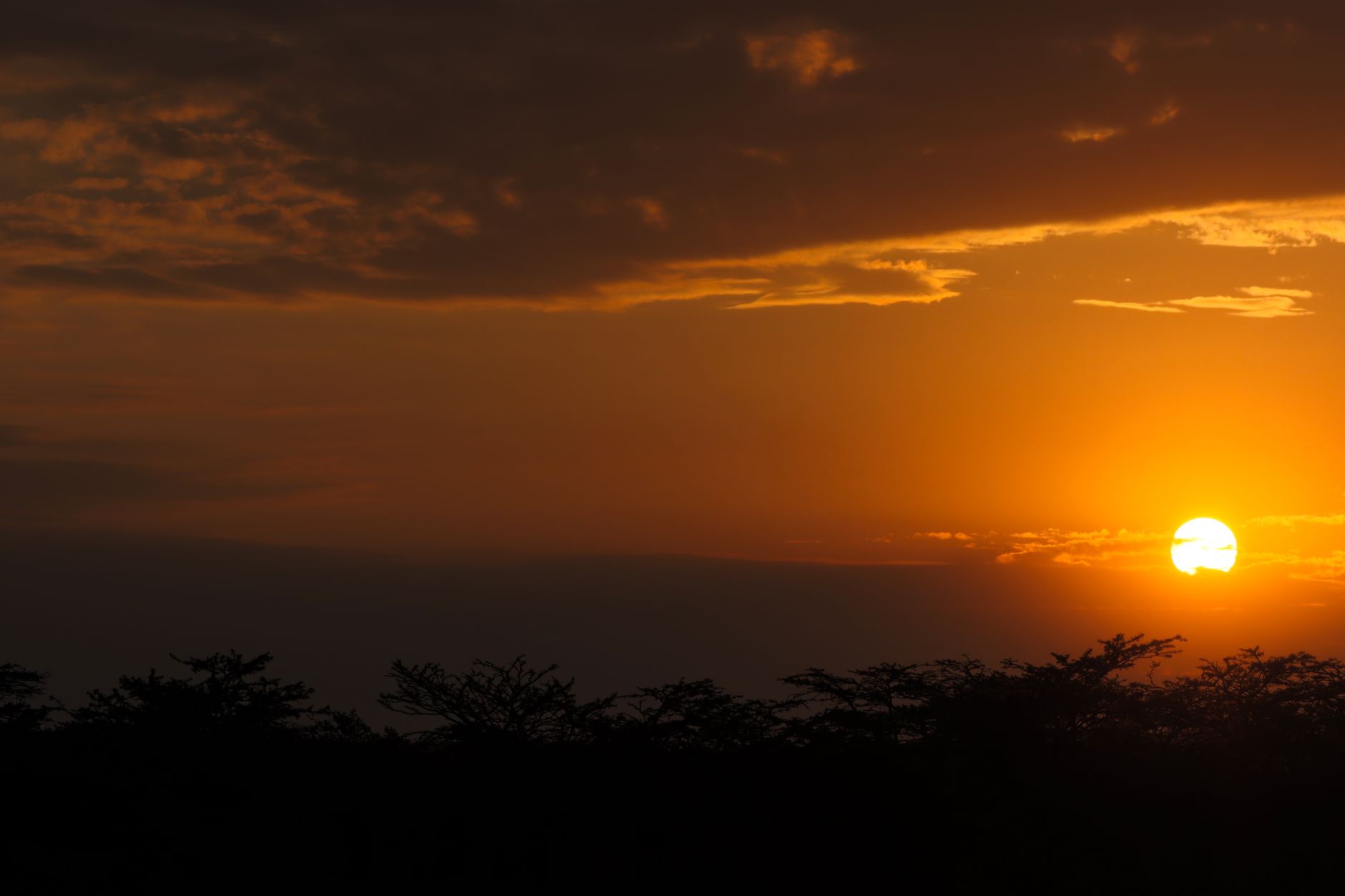 Volcanoes Golden Monkey Trek Cost: $100 Permit, Real Total -- Photo by Vishva Patel on Pexels