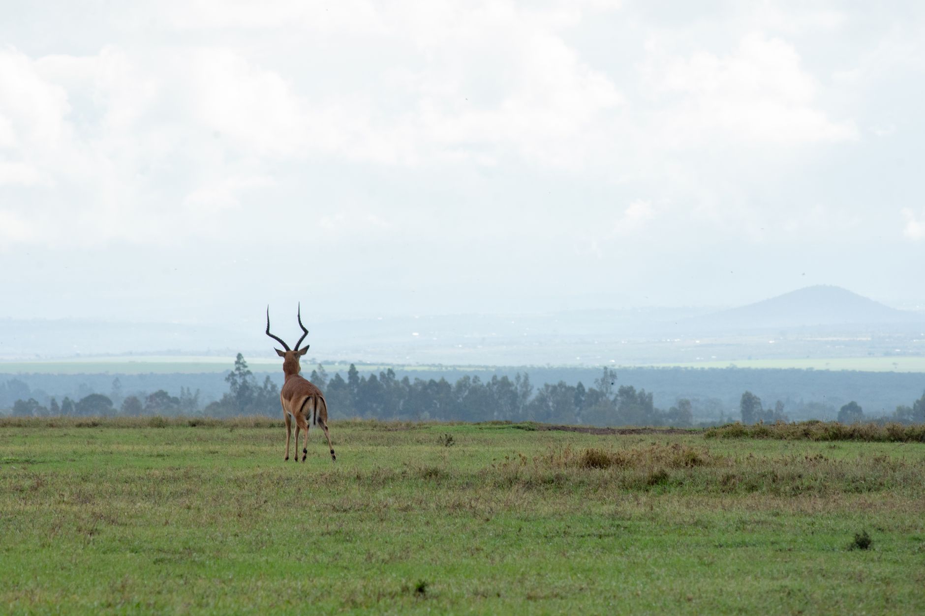 chyulu hills safari hiking: Trails, Wildlife & Tips -- Photo by Ken Mwaura on Pexels