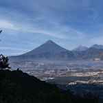 Bwindi vs Volcanoes Trek Difficulty: Which Is Easier? -- Photo by omar william david williams on Pexels