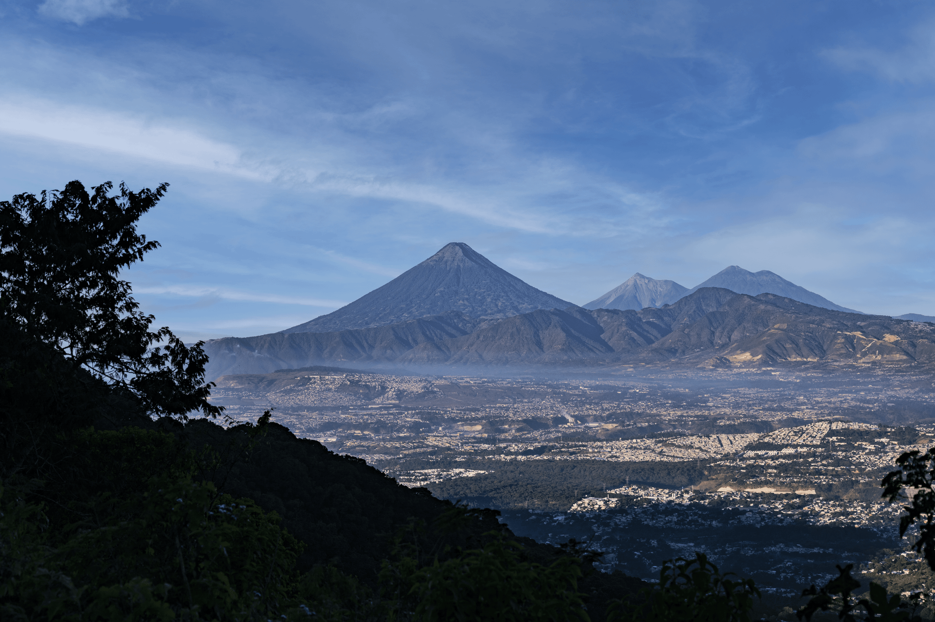 Bwindi vs Volcanoes Trek Difficulty: Which Is Easier? -- Photo by omar william david williams on Pexels