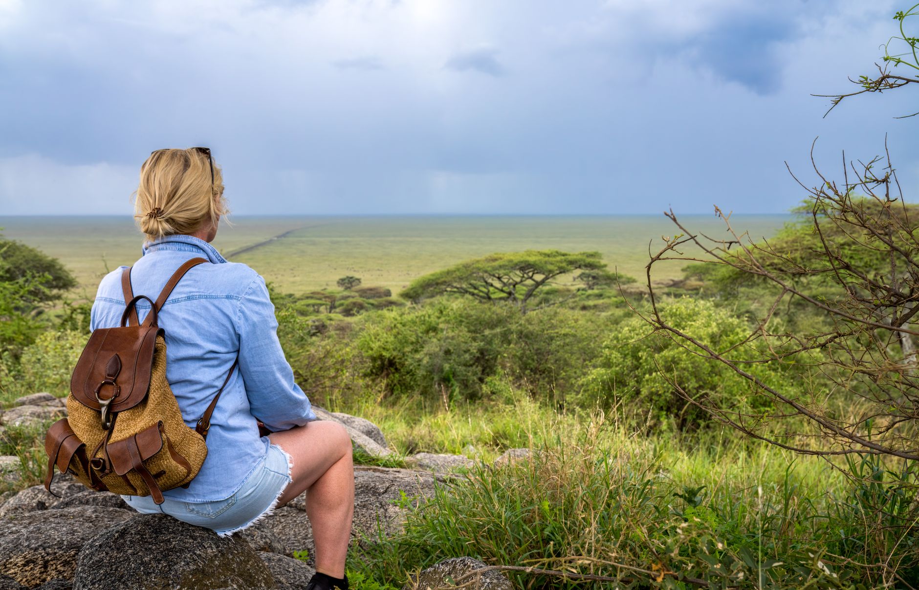 Can Children Handle Serengeti Drives? Yes, From Age 6 -- Photo by chris clark on Pexels
