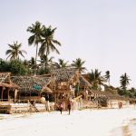 Zanzibar Safari Honeymoon Split: 10 to 14 Day Plans -- Photo by Mark on Pexels